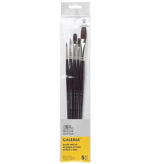 Winsor &amp; Newton Galeria Acrylverf Olieverf Penselen Set 1