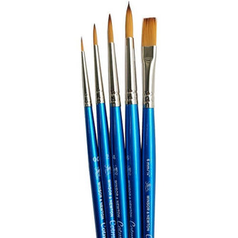 Winsor &amp; Newton Cotman Aquarel Penselen Set 1 2