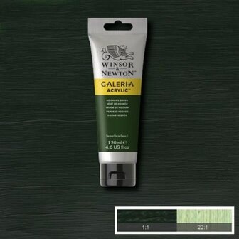 Galeria Acrylverf 120ml Hookers Green 311