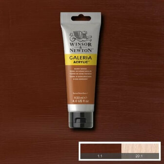 Galeria Acrylverf 120ml Burnt Sienna 074